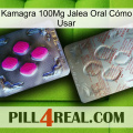 Kamagra 100Mg Jalea Oral Cómo Usar 38